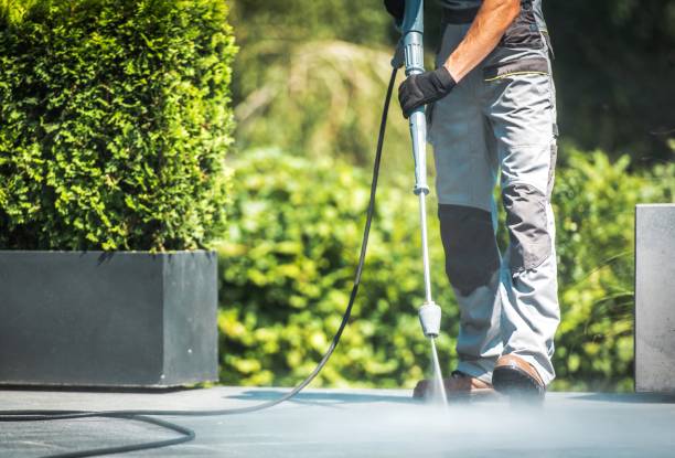 Best Factory Floor Cleaning  in Geneseo, IL