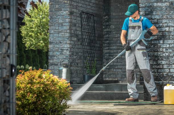 Best Spring Cleaning  in Geneseo, IL