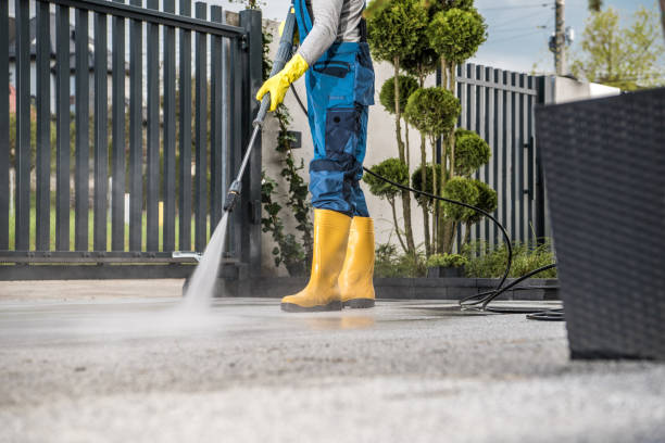 Best Gutter Cleaning  in Geneseo, IL