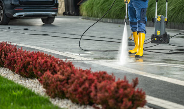 Best House Exterior Washing  in Geneseo, IL